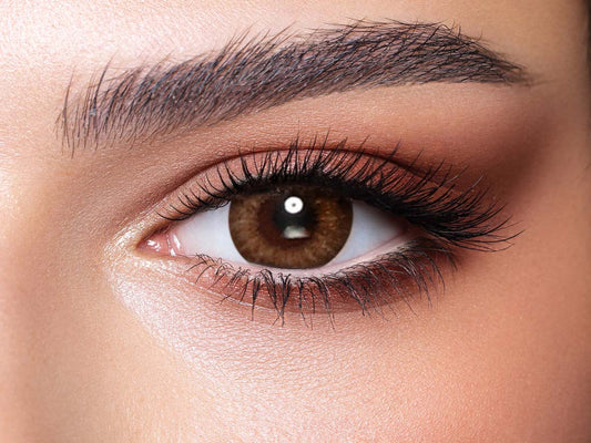 Bella Contact Lenses - Almond Brown